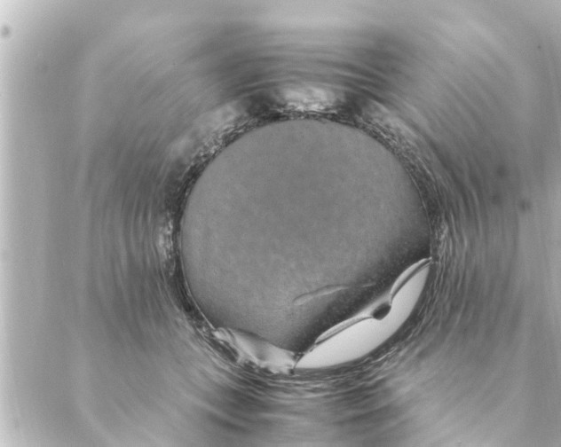 X0000088620559200706221458