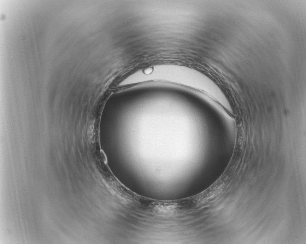 X0000088620560200706221458