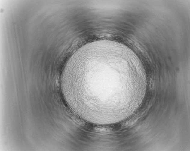 X0000088620561200706221458