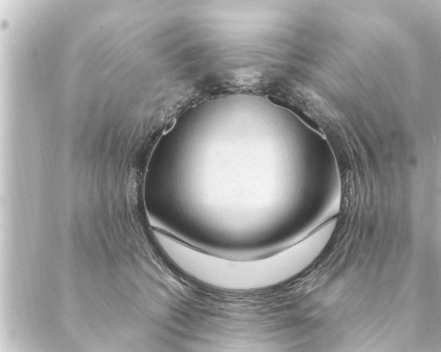 X0000088620562200706221458