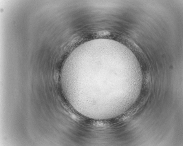 X0000088620565200706221458