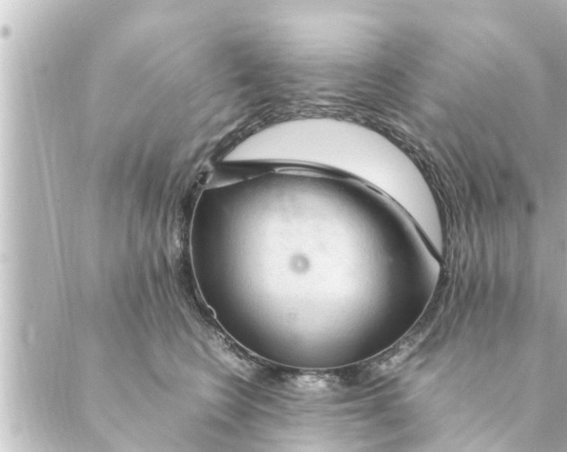 X0000088620566200706221458