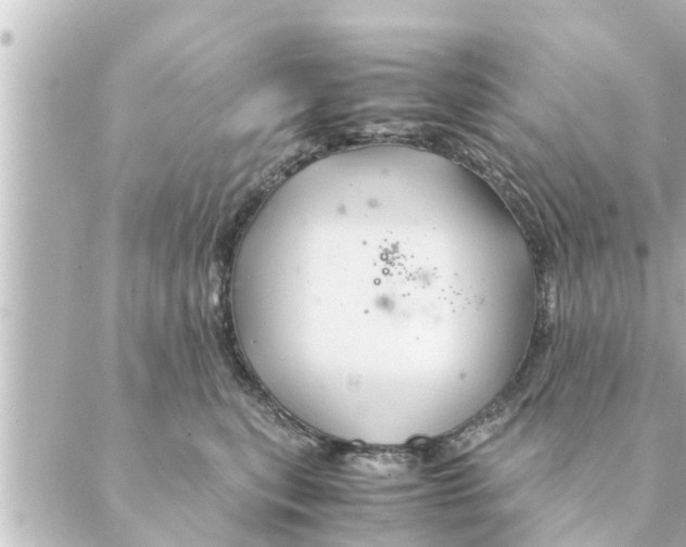 X0000088620567200706221458