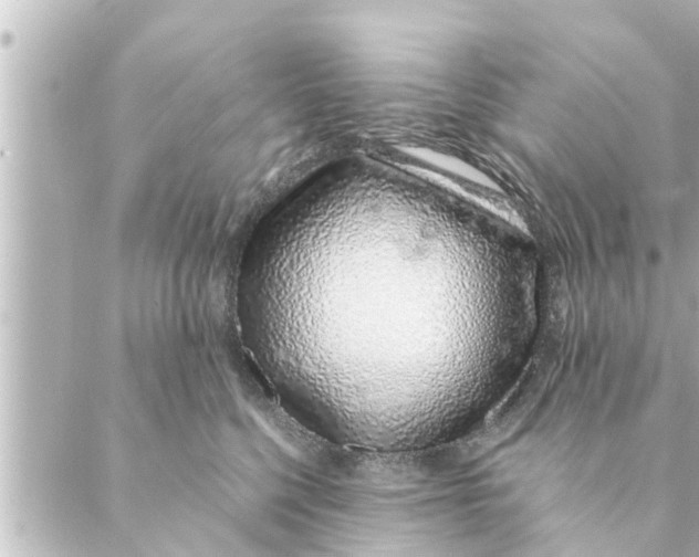 X0000088620568200706221458