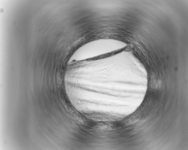 X0000088620569200706221458