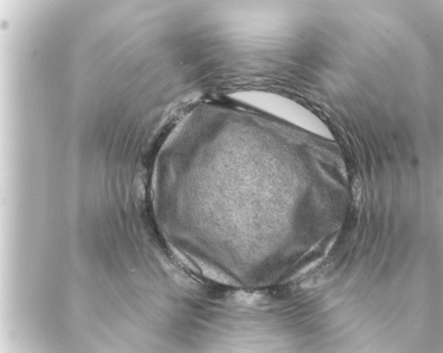 X0000088620570200706221458