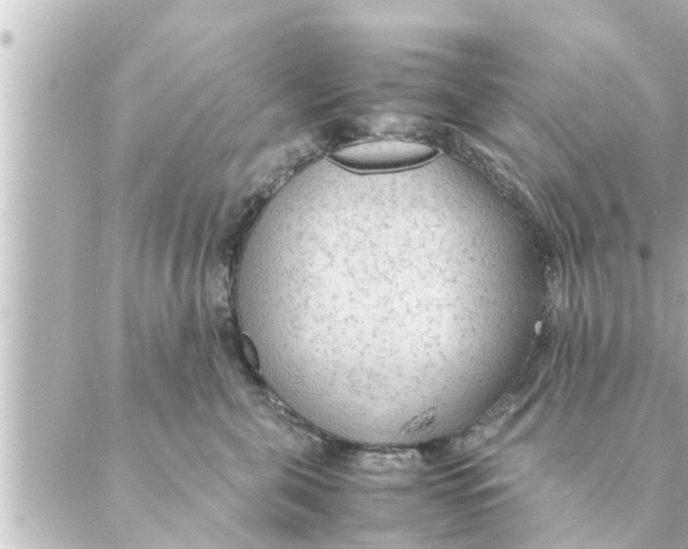 X0000088620571200706221458