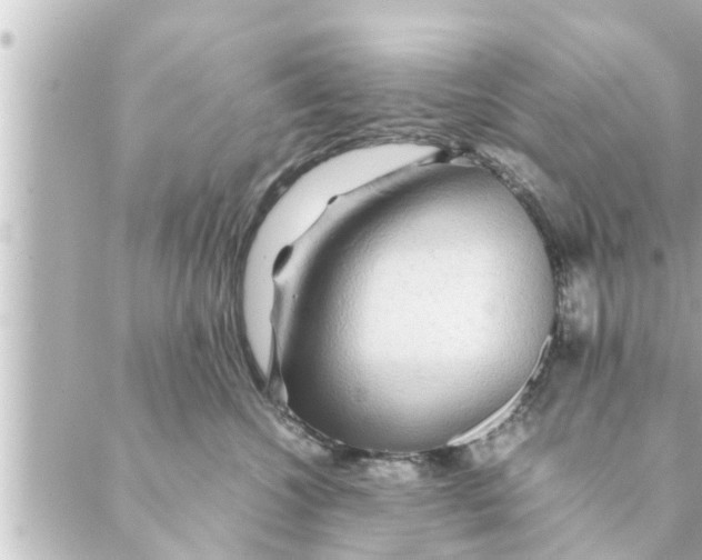 X0000088620572200706221458