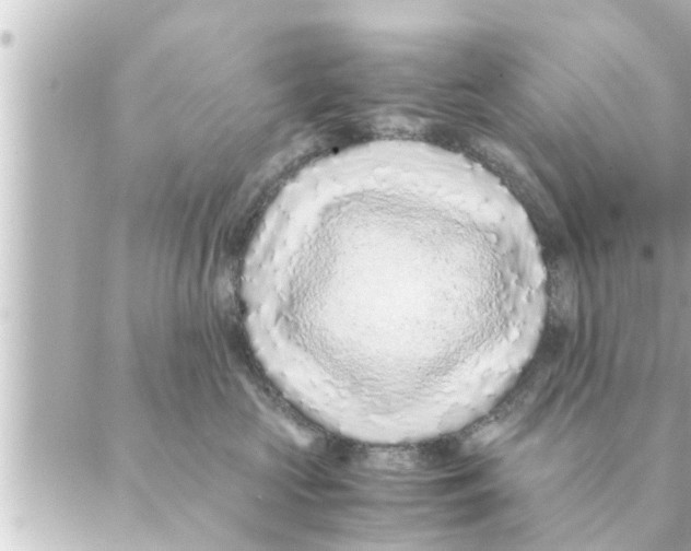 X0000088620573200706221458