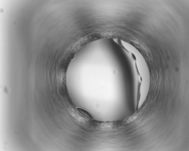 X0000088620574200706221458