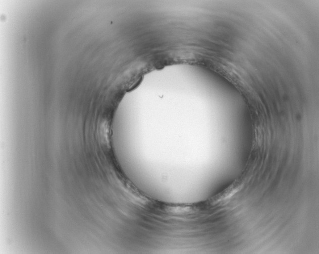 X0000088620575200706221458