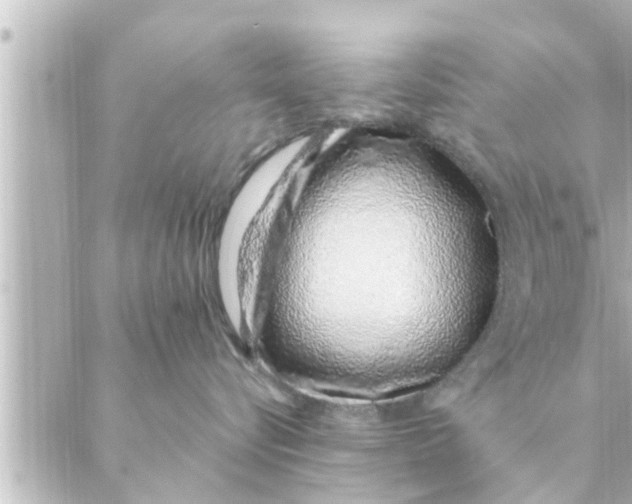 X0000088620576200706221458