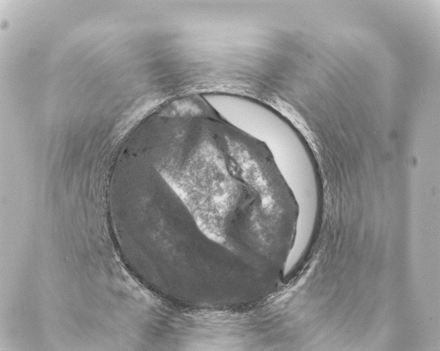 X0000088620577200706221458