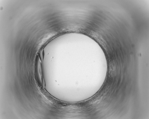 X0000088620578200706221458