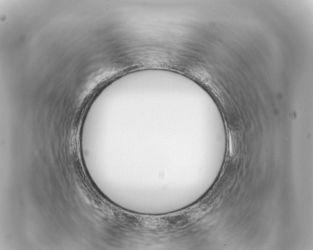 X0000088620579200706221458