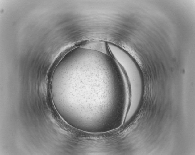 X0000088620580200706221458