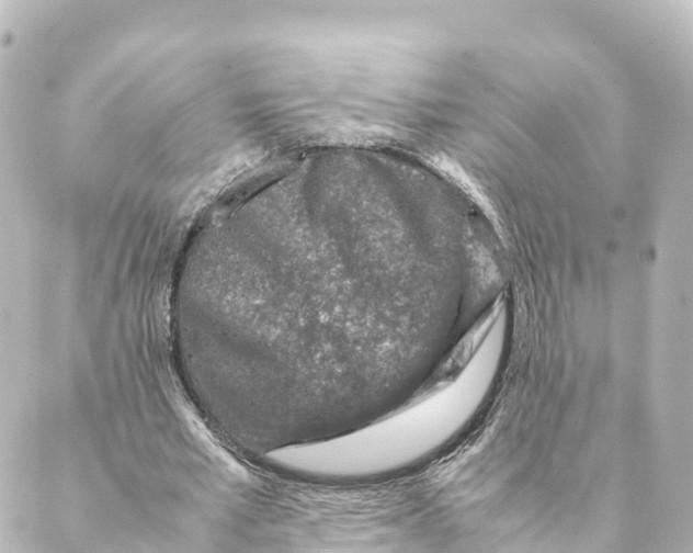 X0000088620581200706221458