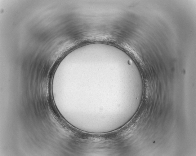 X0000088620582200706221458