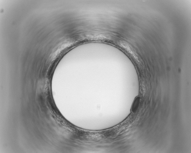 X0000088620583200706221458