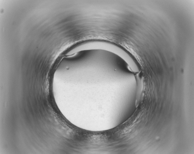 X0000088620584200706221458