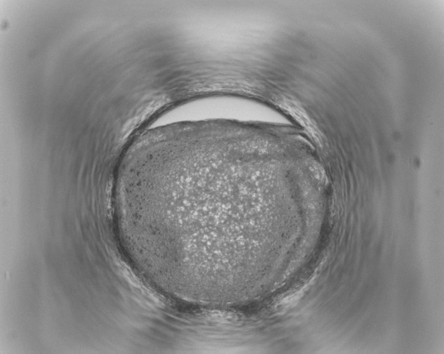 X0000088620585200706221457