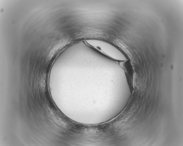 X0000088620586200706221457