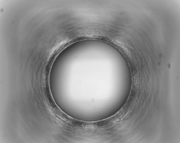 X0000088620587200706221457