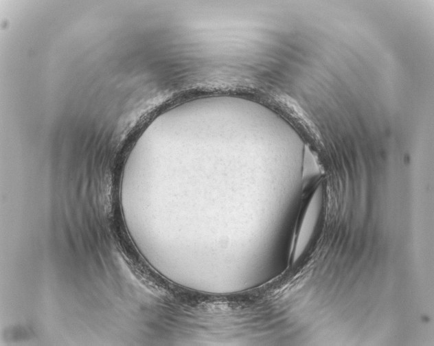 X0000088620588200706221457