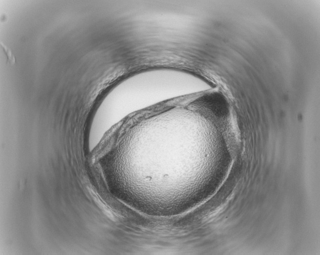 X0000088620589200706221457