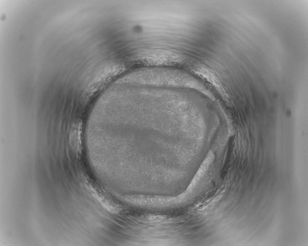 X0000088620590200706221457