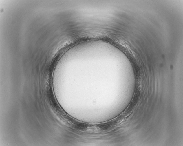 X0000088620591200706221457