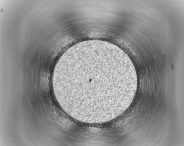 X0000088620592200706221457