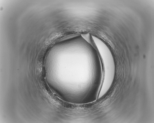 X0000088620593200706221457