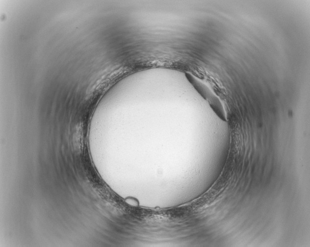 X0000088620594200706221457