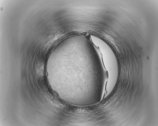 X0000088620596200706221457