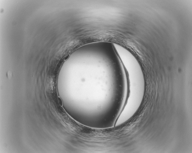 X0000088620597200706221457