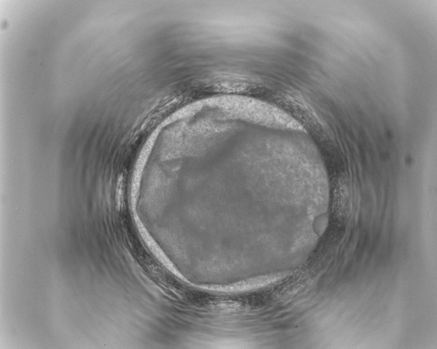 X0000088620598200706221457