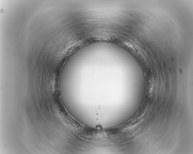 X0000088620600200706221457