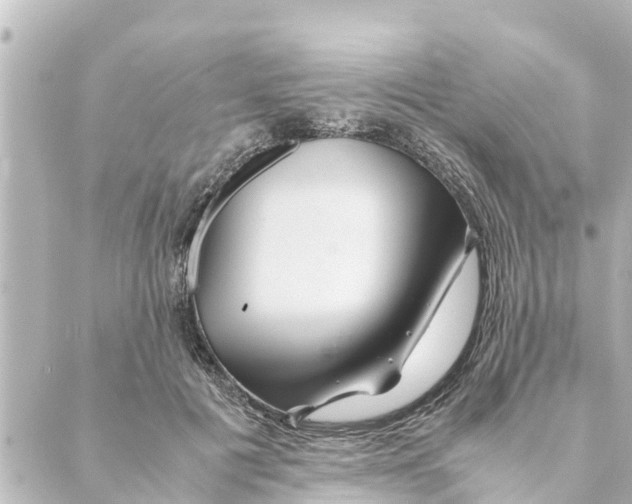 X0000088620601200706221457