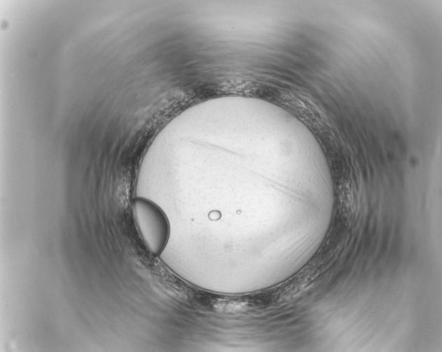 X0000088620602200706221457