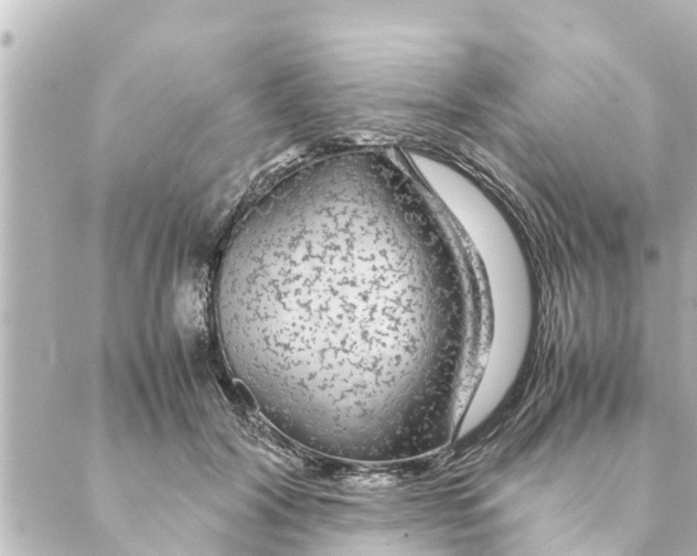 X0000088620604200706221457