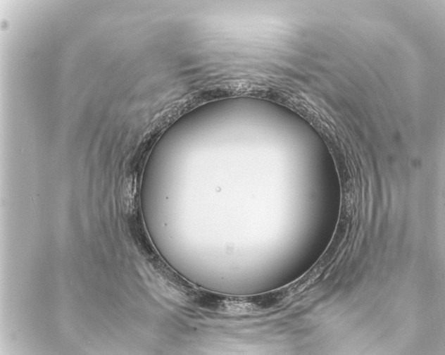 X0000088620605200706221457