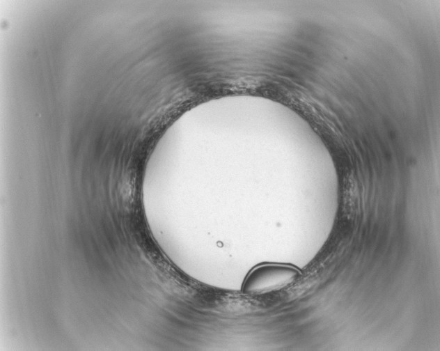 X0000088620608200706221457