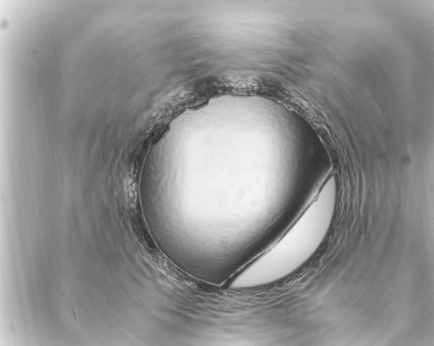 X0000088620609200706221457