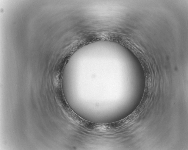 X0000088620611200706221457