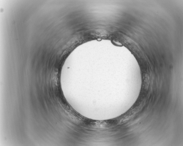 X0000088620612200706221457