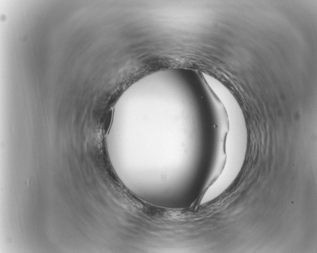 X0000088620613200706221457