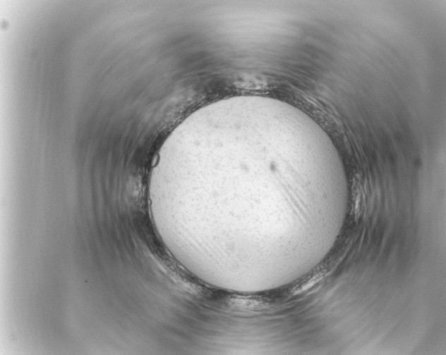 X0000088620614200706221457