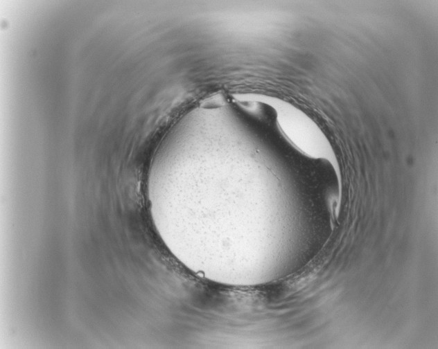 X0000088620615200706221457