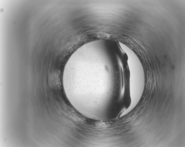 X0000088620616200706221457